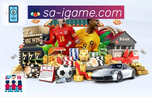 稳定与安全协同流程